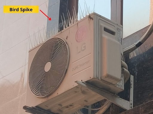 Bird Spikes for Outdoor A/C Unit