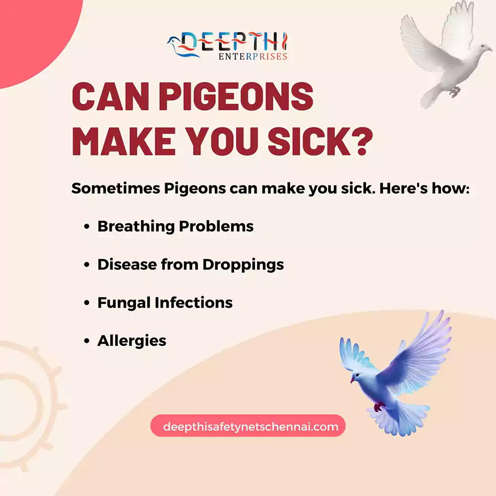 General Health Problems Caused by Pigeons