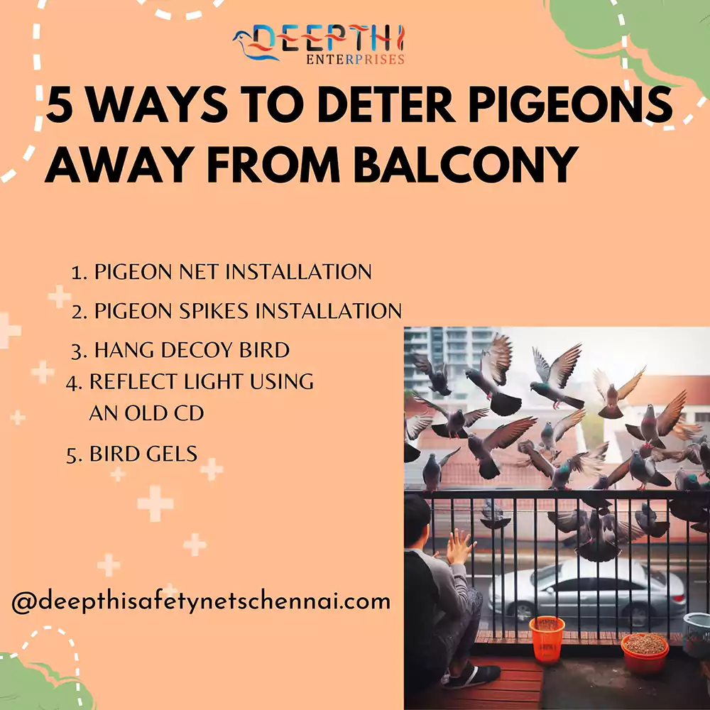 How to Keep Pigeons away from your balcony