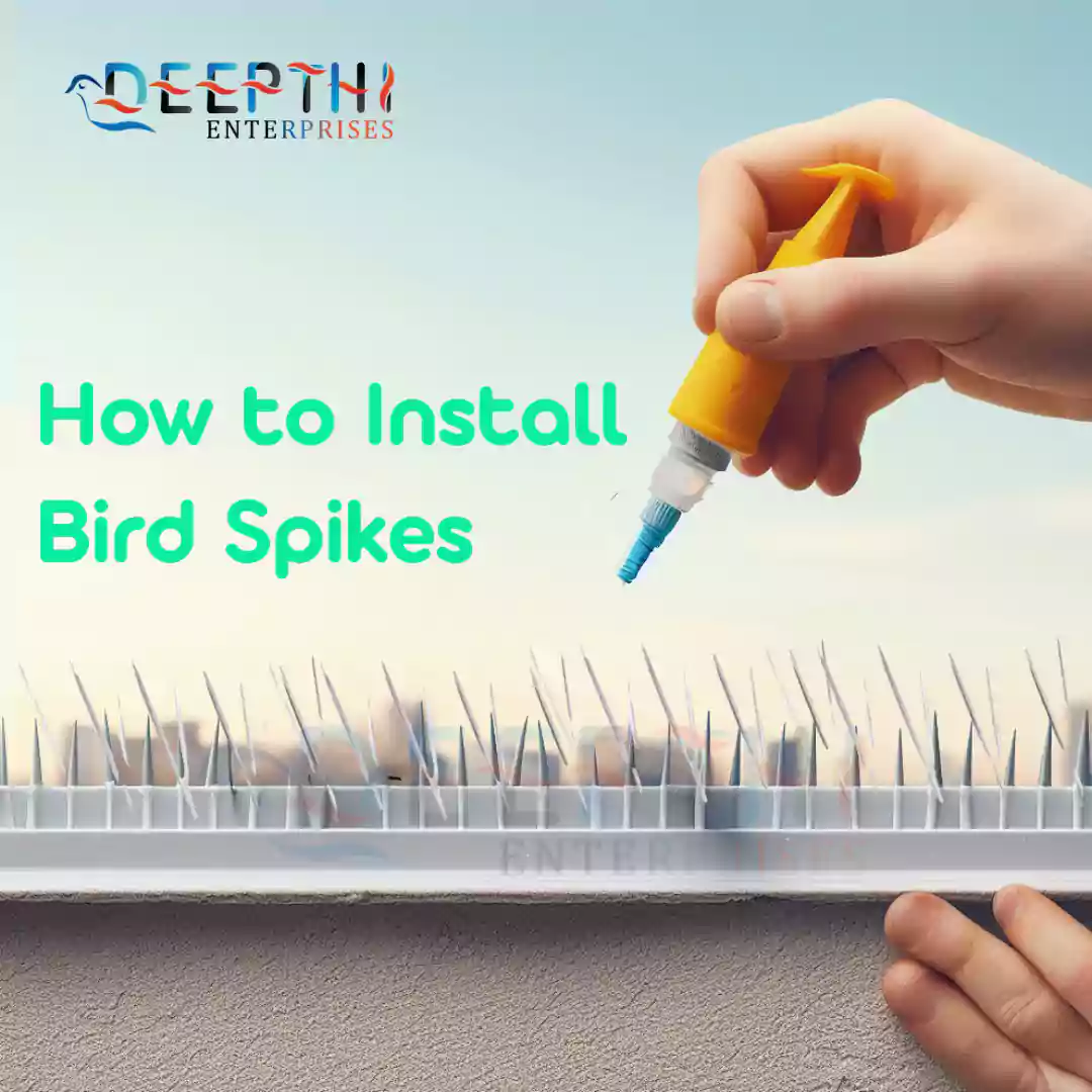 How to Install Bird Spikes