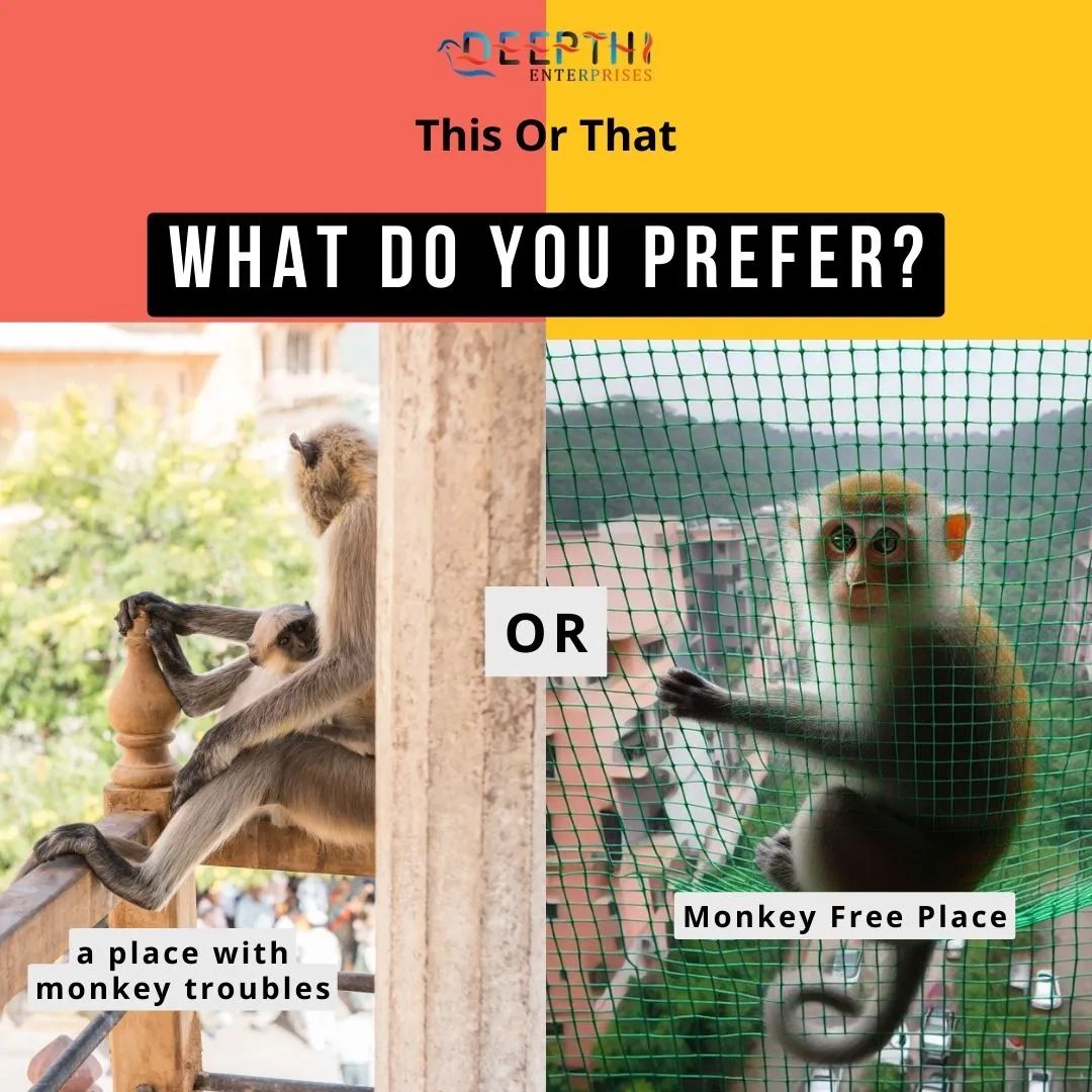 Monkey Prevention Nets Chennai