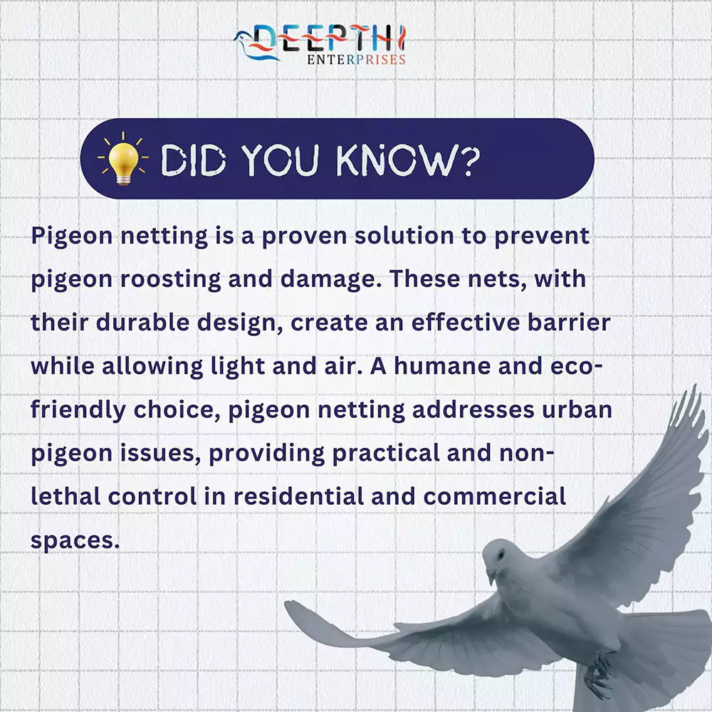 pigeon bird netting