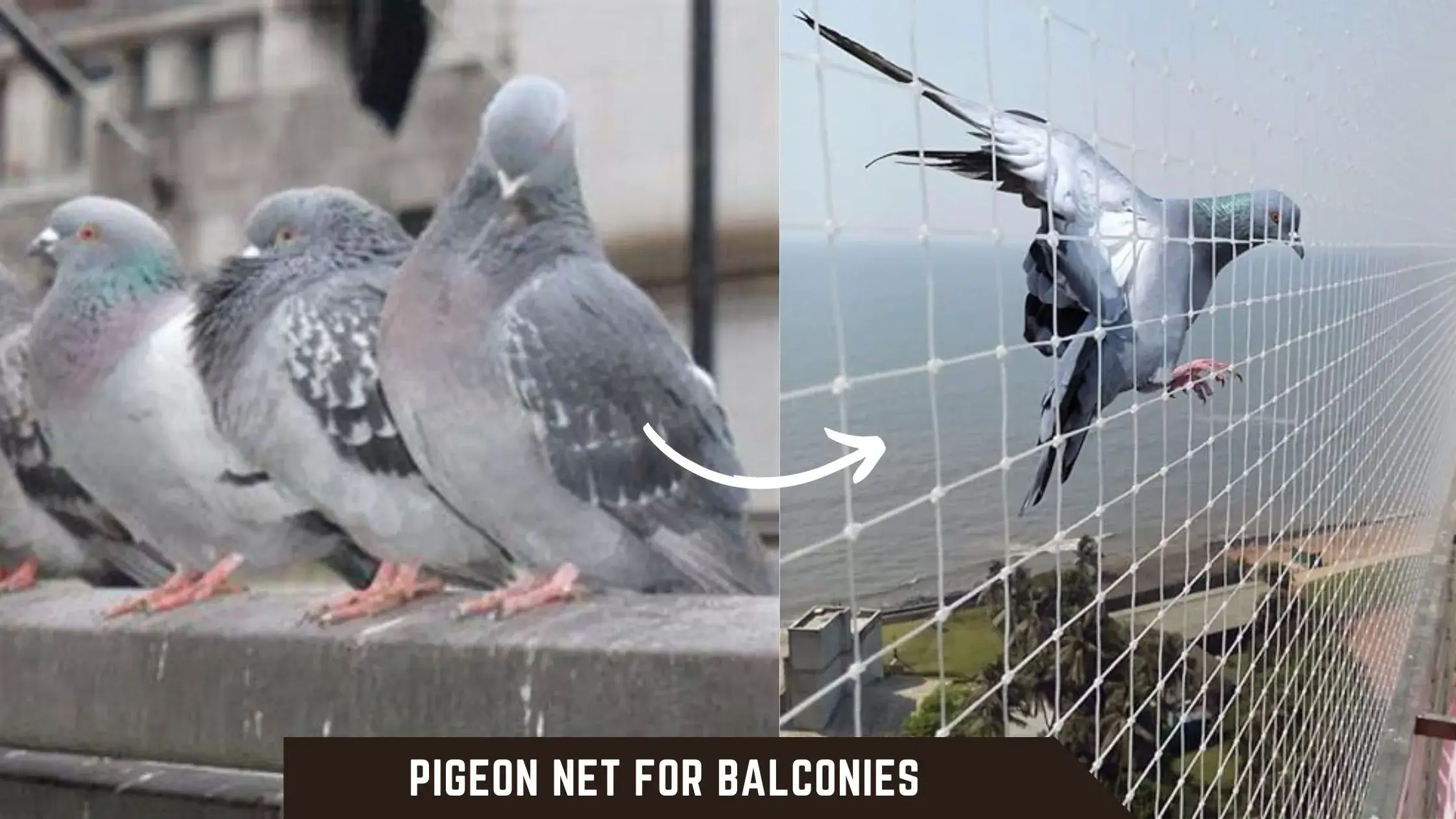 pigeon net for balconies