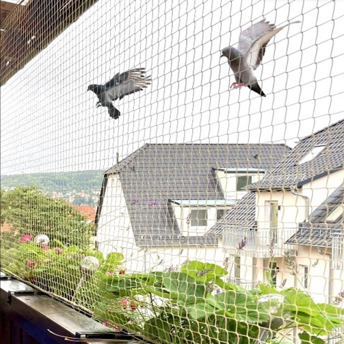 Pigeon Net Installation