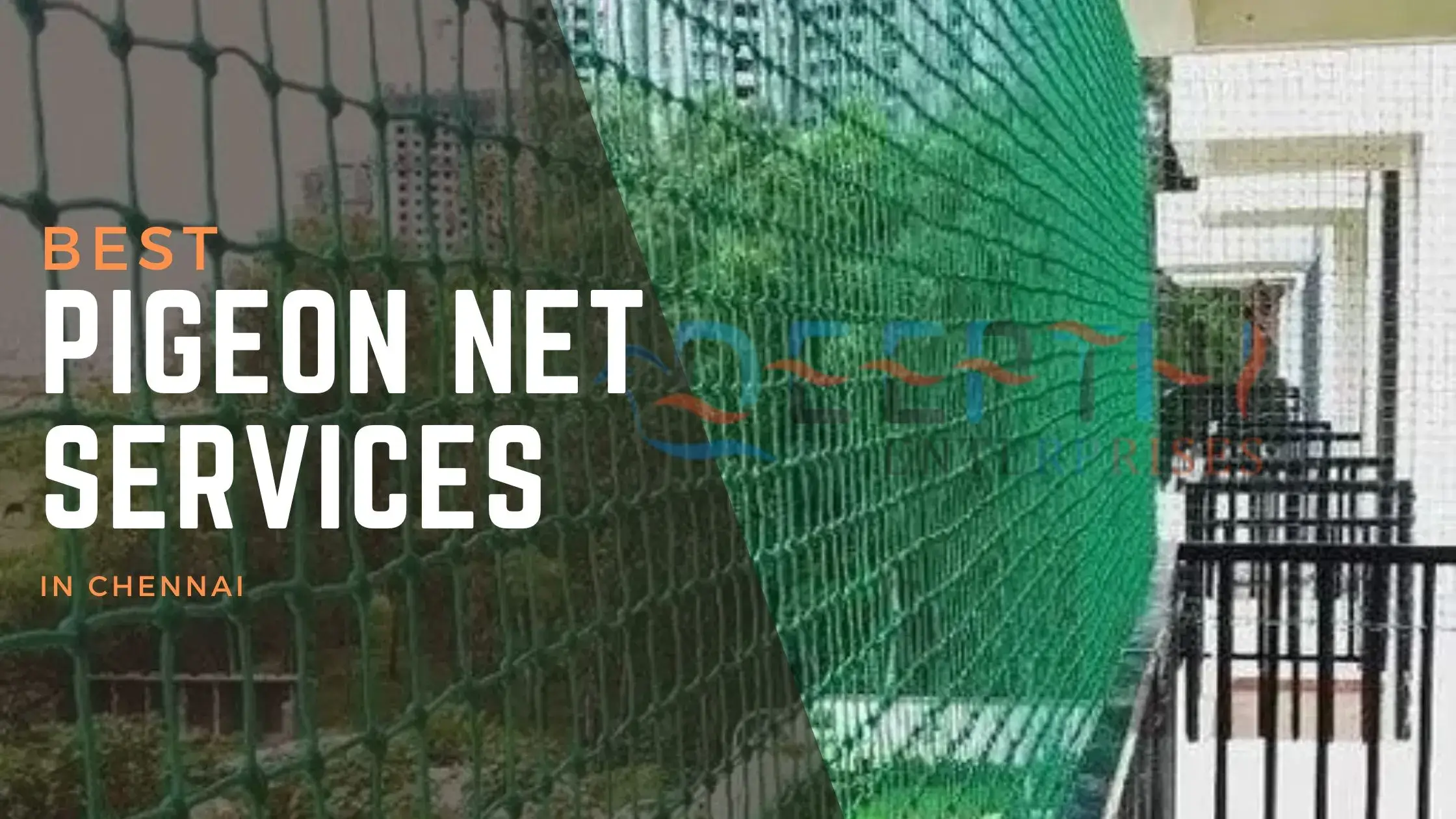 pigeon net services in chennai