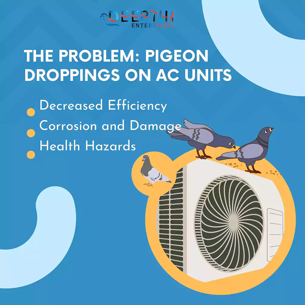 Pigeon Problems on AC Outdoor Unit