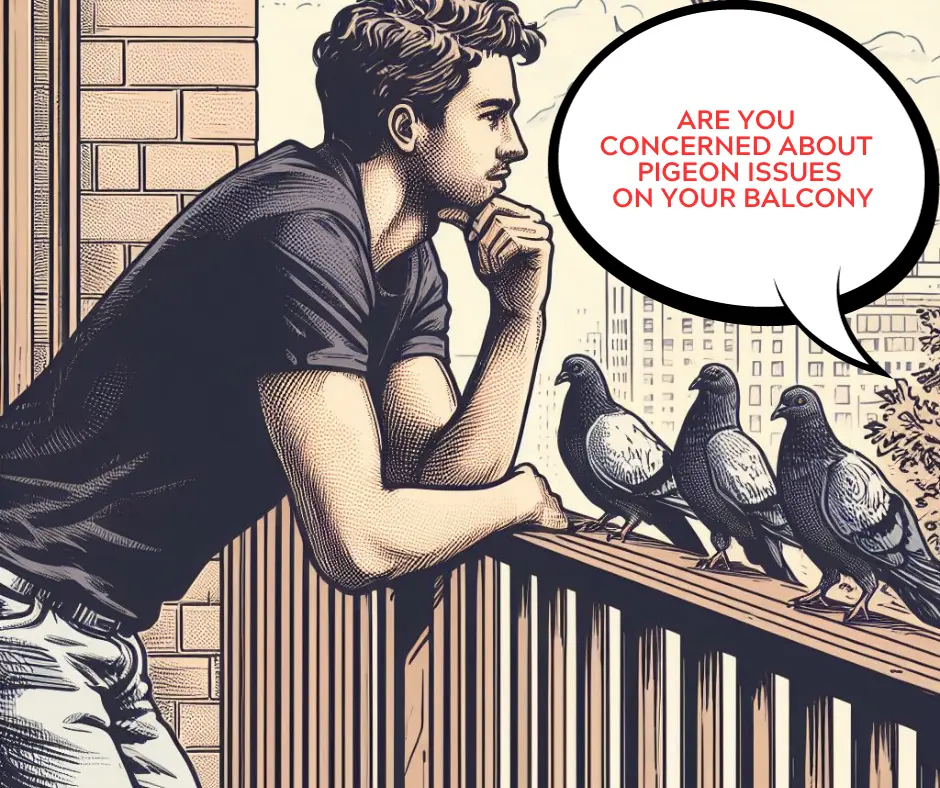 pigeon problems on balcony
