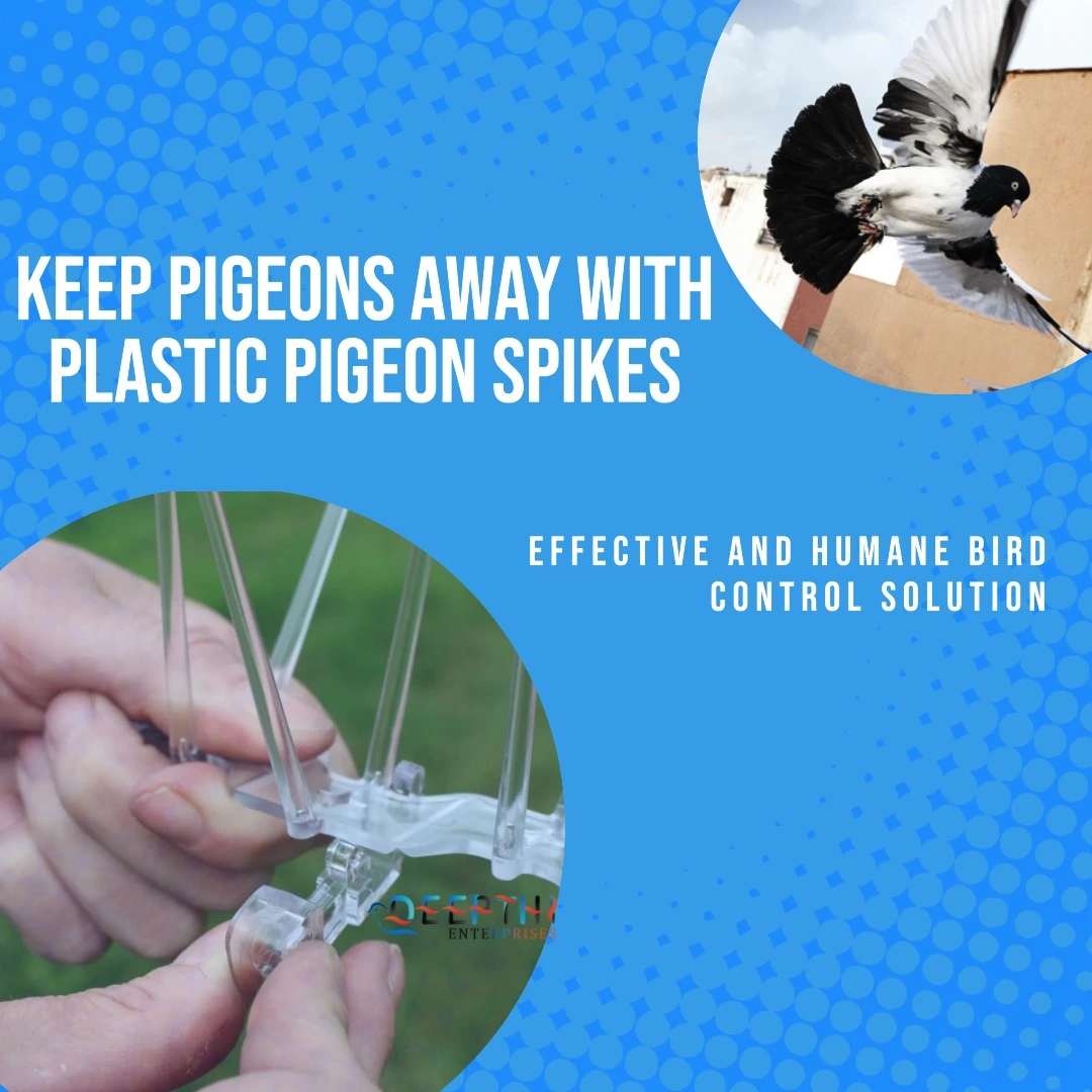 Benefits of Pigeon Spikes Instalation Service near me in Chennai